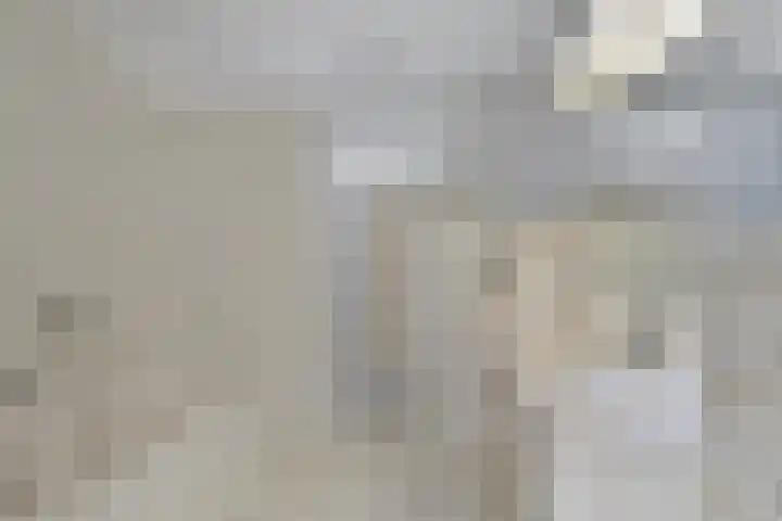 Duinakker 43 Roden thumbnail 37