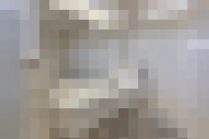 Duinakker 43 Roden thumbnail 38