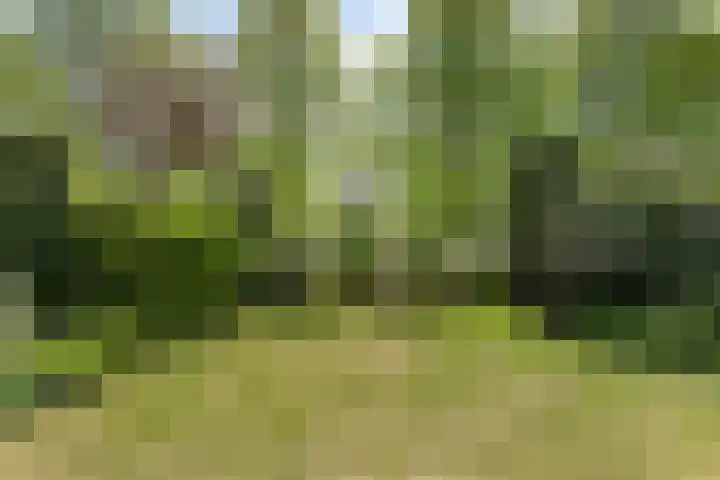 Duinakker 43 Roden thumbnail 4