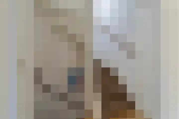 Duinakker 43 Roden thumbnail 41