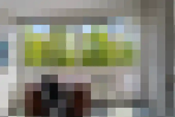 Duinakker 43 Roden thumbnail 44