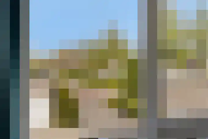 Duinakker 43 Roden thumbnail 45