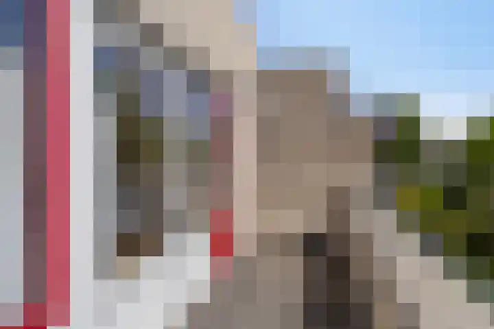 Duinakker 43 Roden thumbnail 46