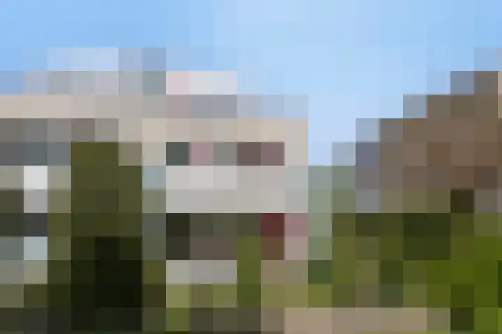 Duinakker 43 Roden thumbnail 53