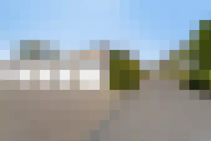 Duinakker 43 Roden thumbnail 56