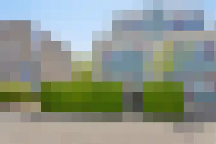 Duinakker 43 Roden thumbnail 6