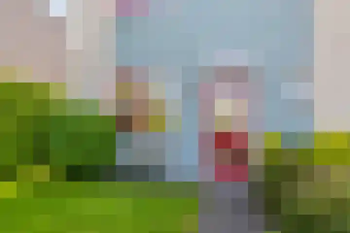 Duinakker 43 Roden thumbnail 61