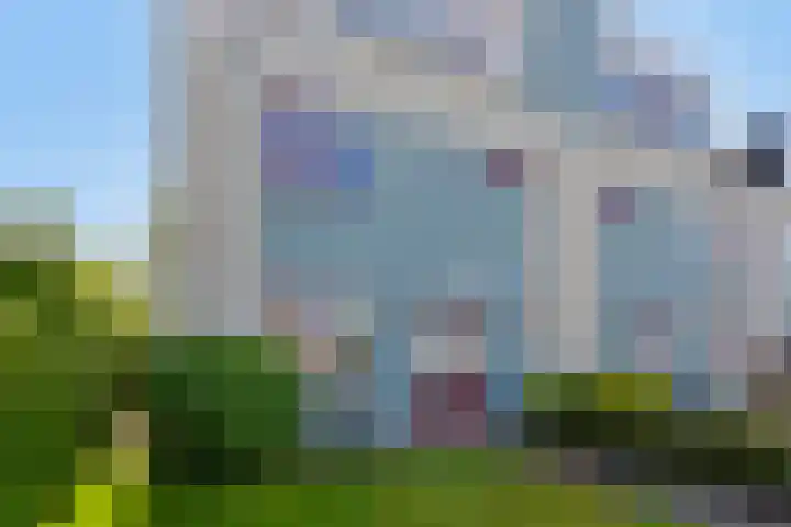 Duinakker 43 Roden thumbnail 62