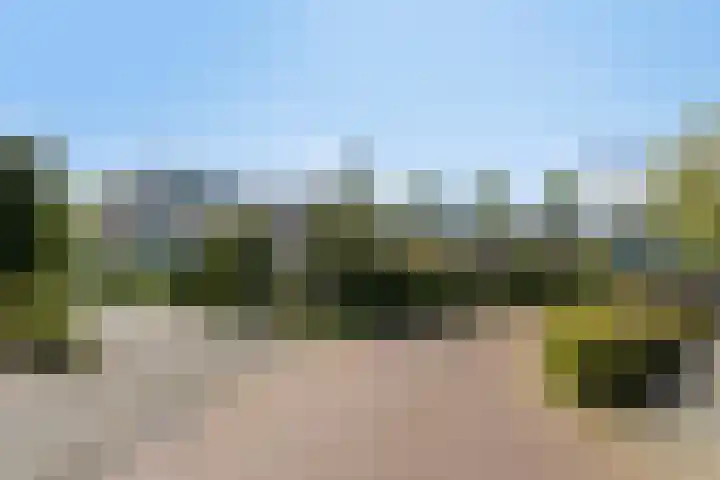 Duinakker 43 Roden thumbnail 64