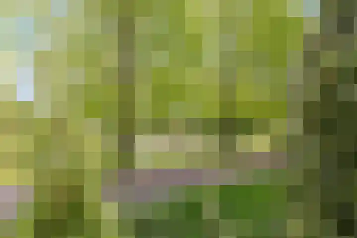 Duinakker 43 Roden thumbnail 67