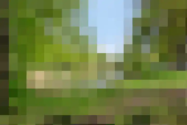 Duinakker 43 Roden thumbnail 68