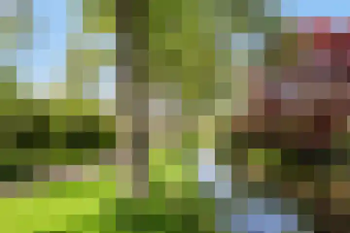 Duinakker 43 Roden thumbnail 69