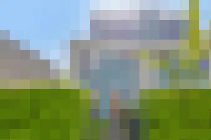 Duinakker 43 Roden thumbnail 7