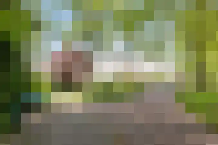 Duinakker 43 Roden thumbnail 70