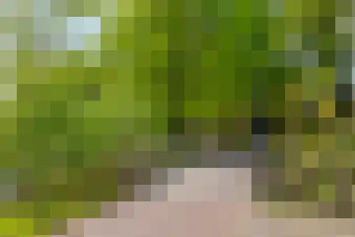 Duinakker 43 Roden thumbnail 72