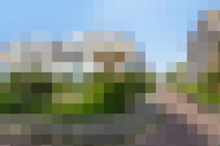 Duinakker 43 Roden thumbnail 73