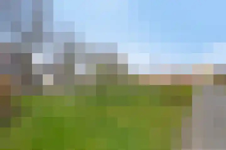 Duinakker 43 Roden thumbnail 74