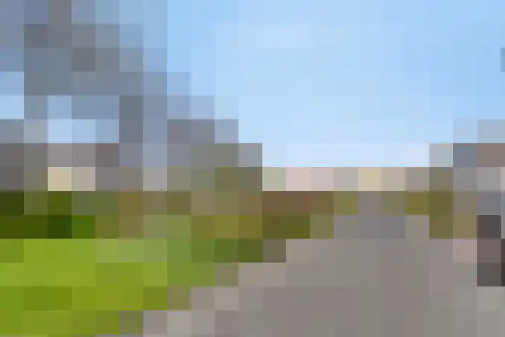 Duinakker 43 Roden thumbnail 75