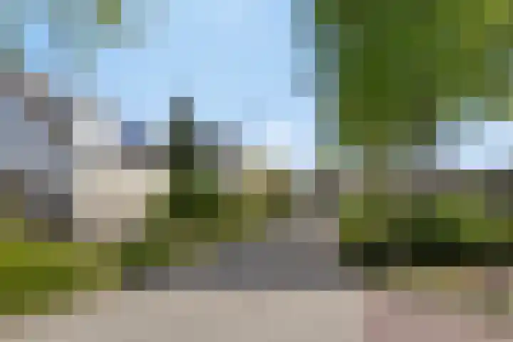 Duinakker 43 Roden thumbnail 76
