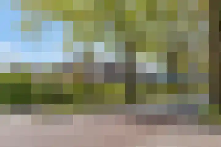 Duinakker 43 Roden thumbnail 77