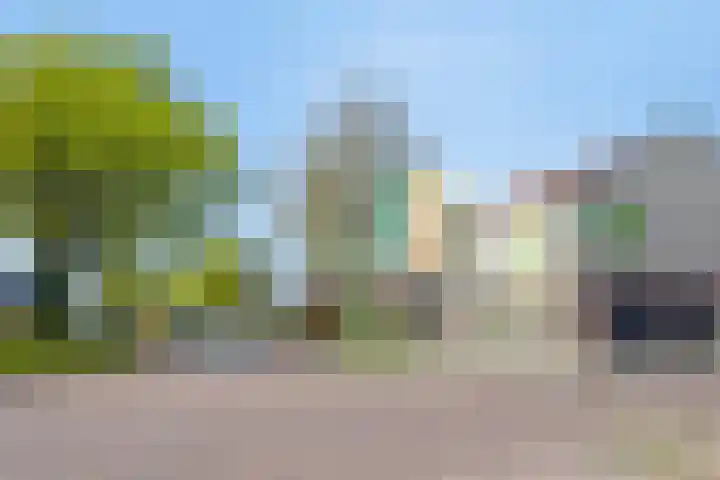 Duinakker 43 Roden thumbnail 78