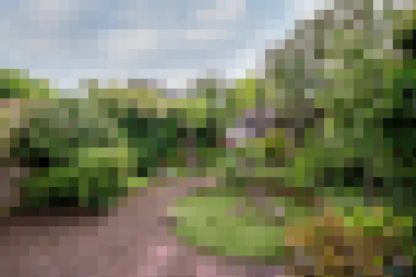 Duinbeek 106 Lelystad thumbnail 30