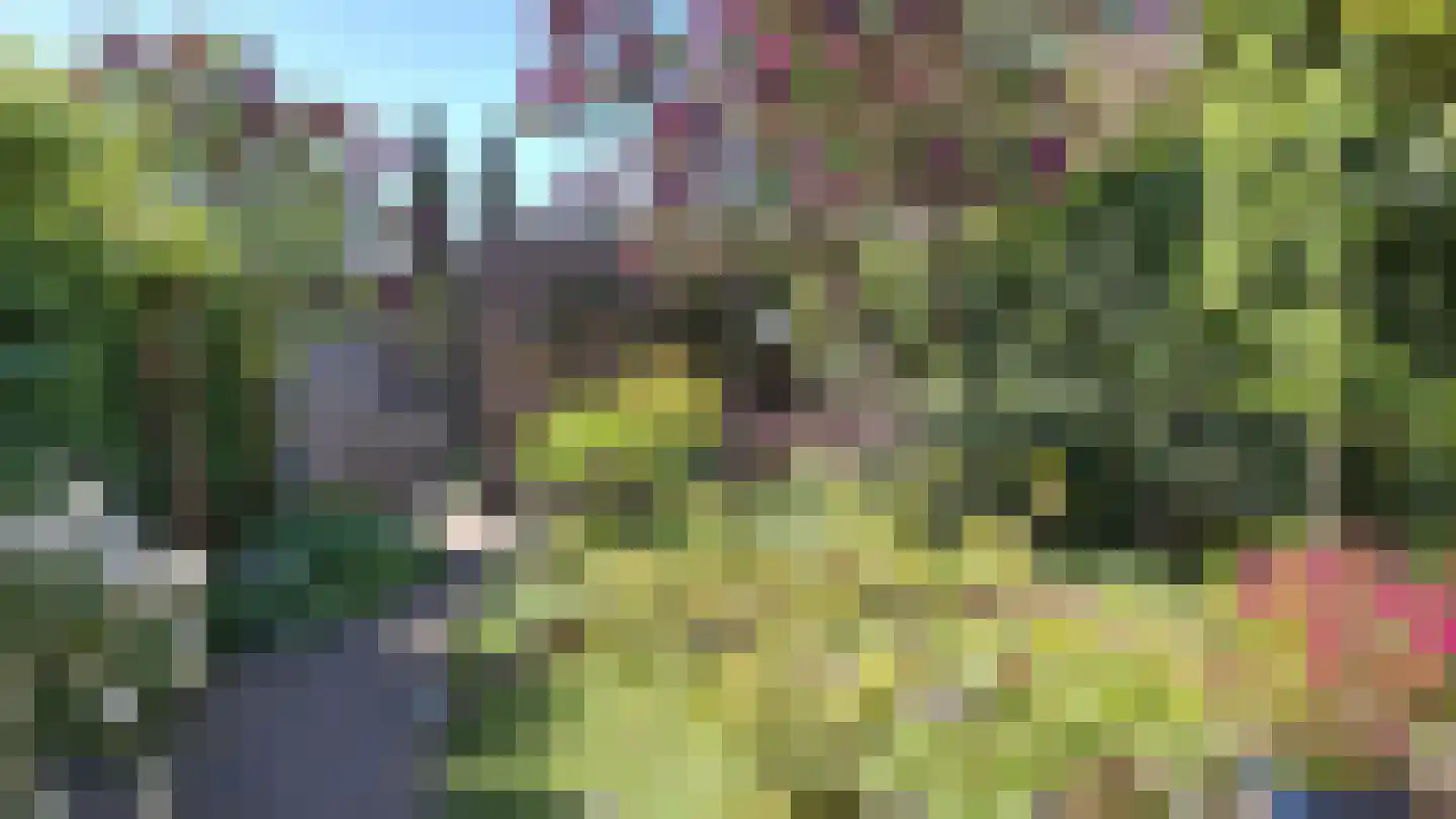 Duinbeek 106 Lelystad thumbnail 31