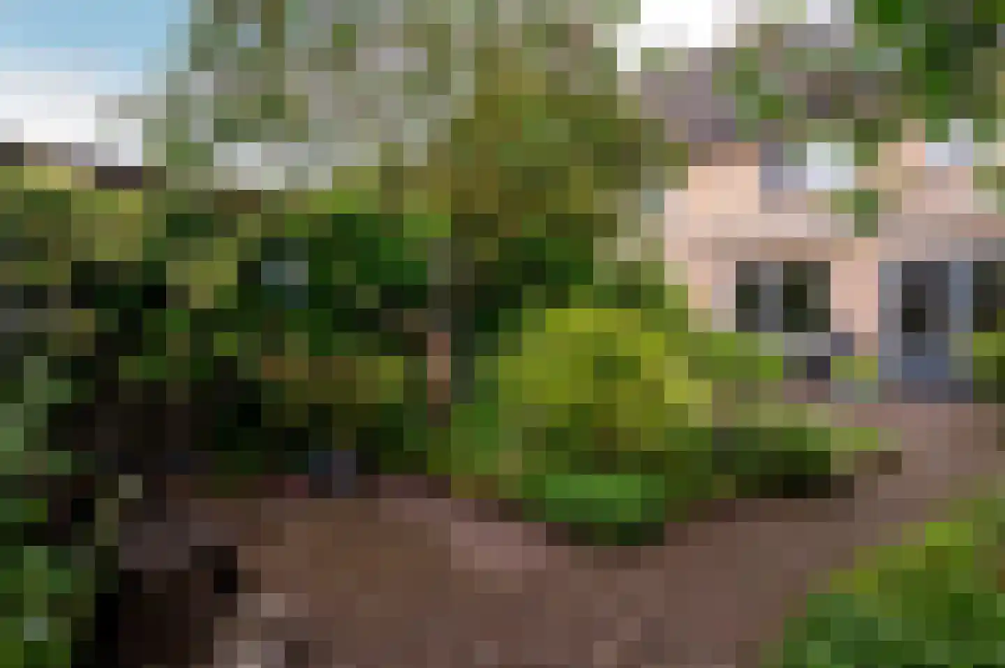 Duinbeek 106 Lelystad thumbnail 32