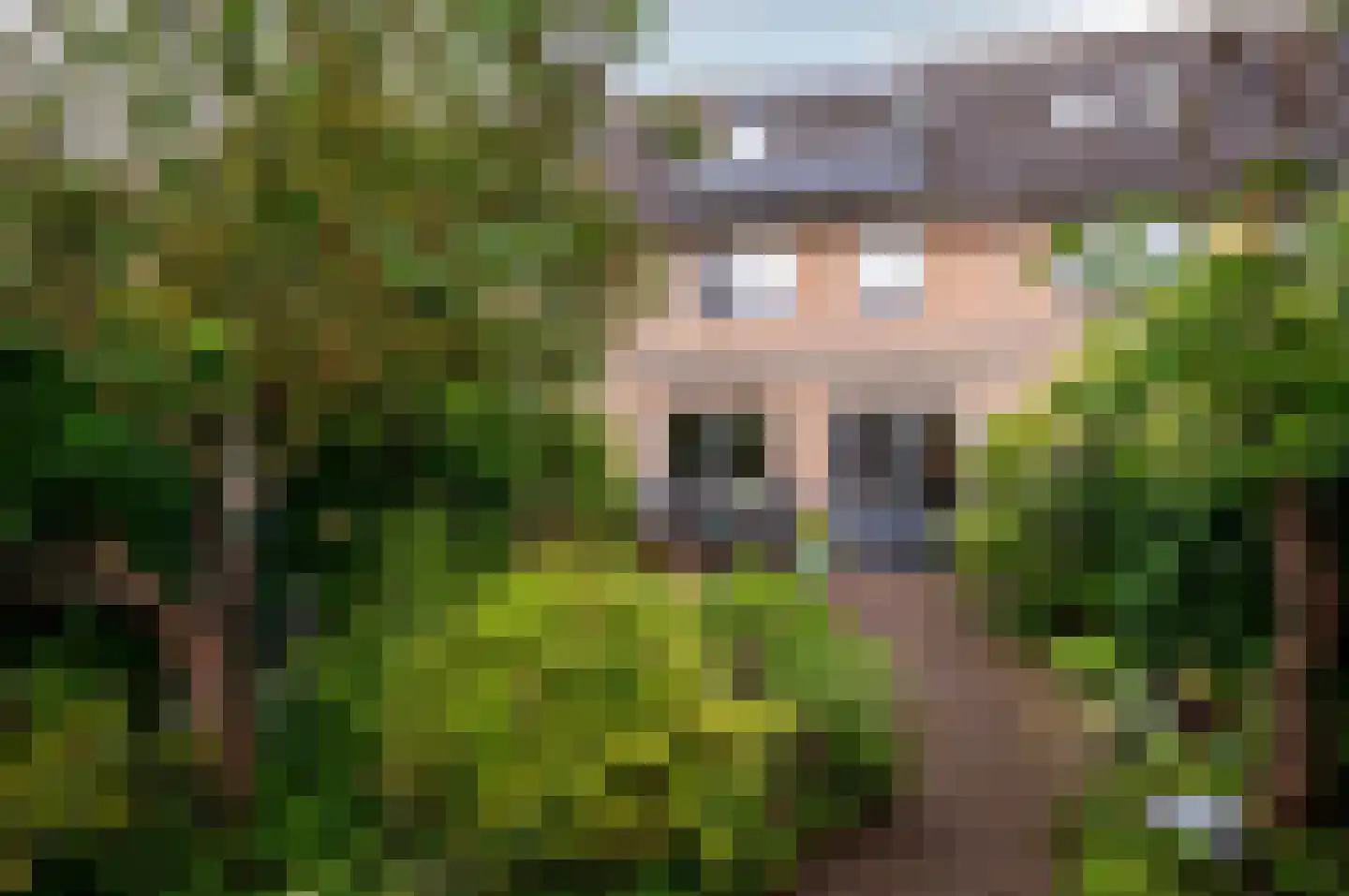 Duinbeek 106 Lelystad thumbnail 33