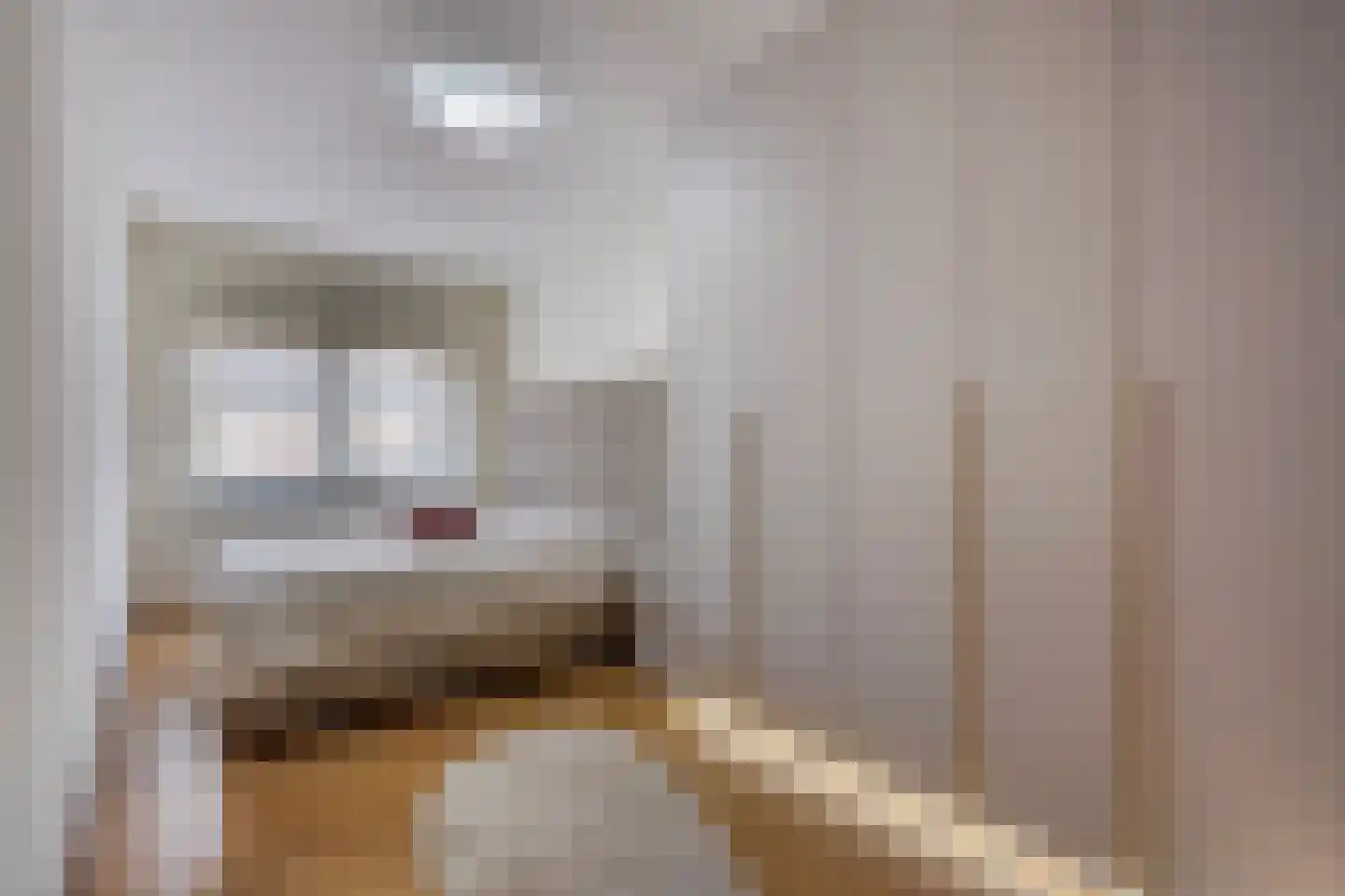 Duinbeek 14 Poeldijk thumbnail 4