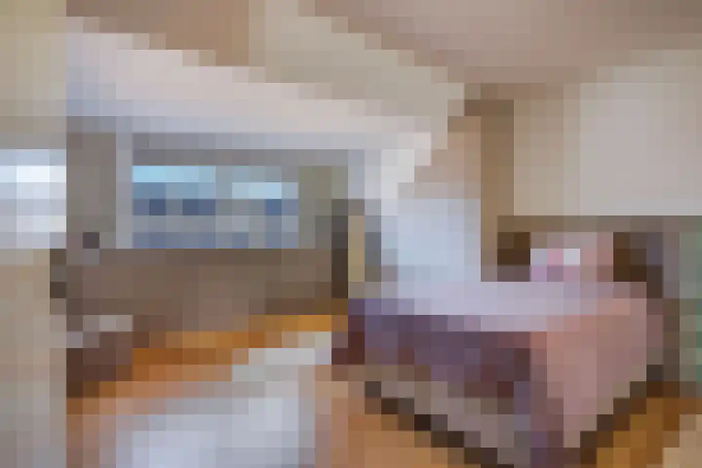 Duinbeek 14 Poeldijk thumbnail 51