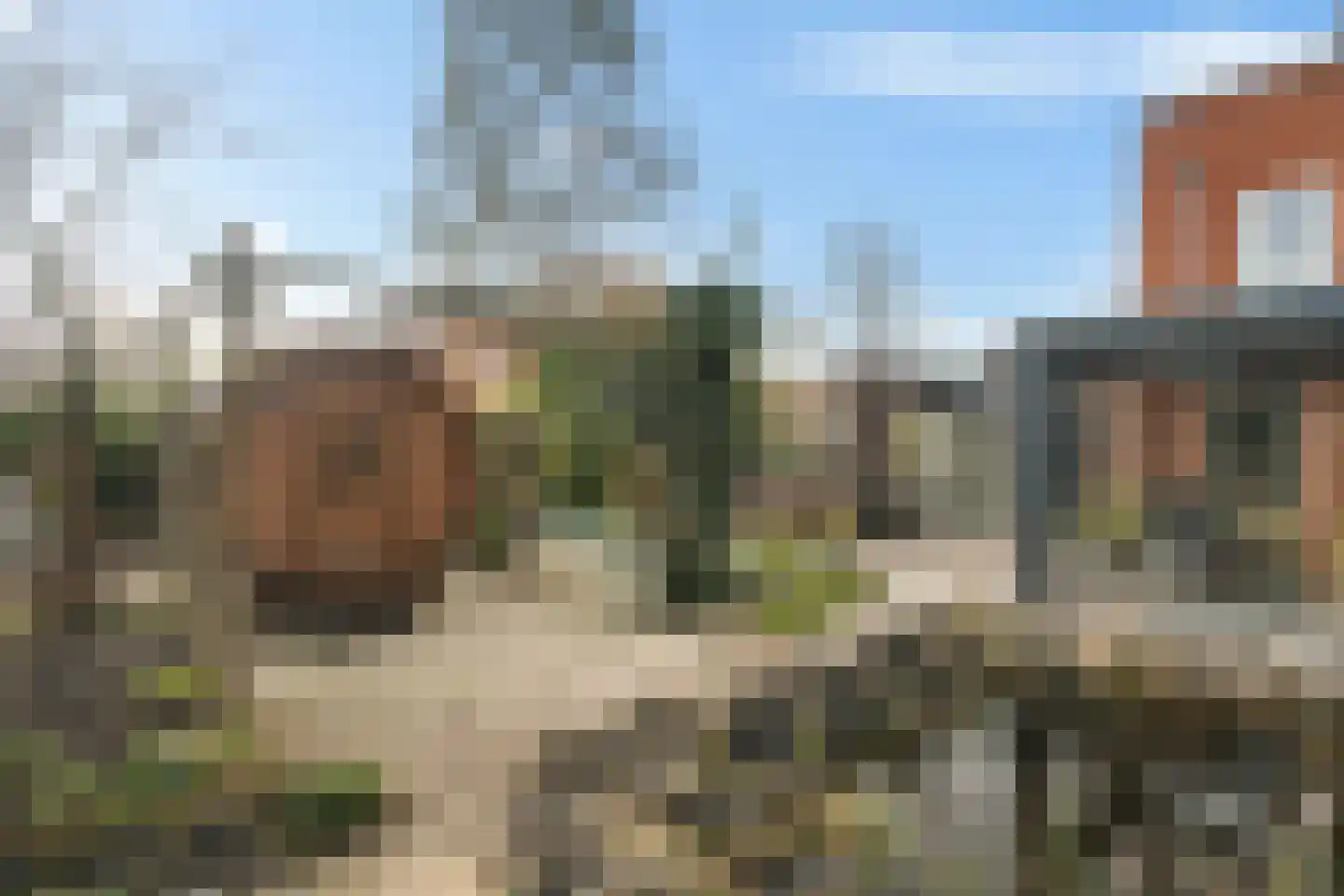 Duinbeek 23 Lelystad thumbnail 38