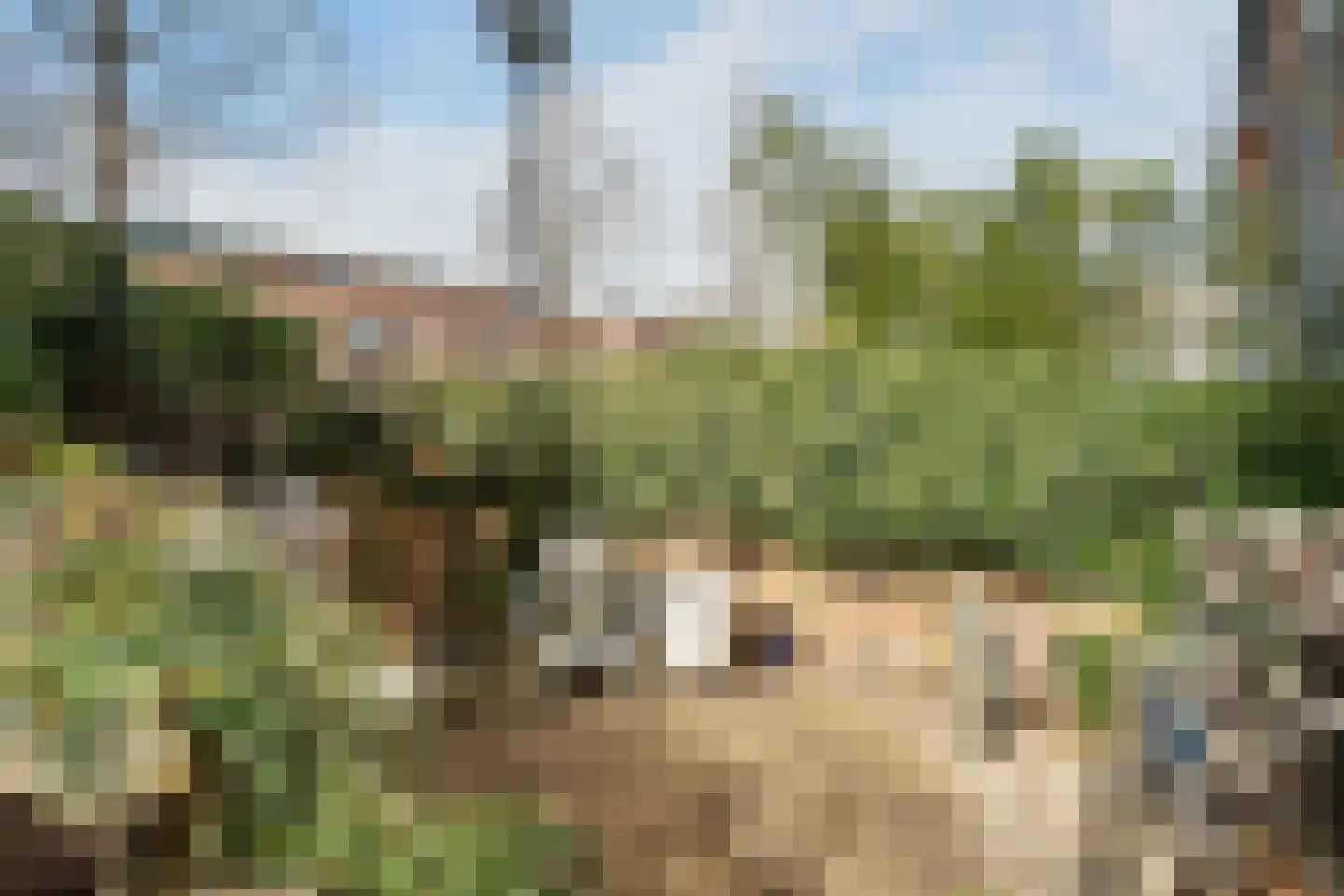 Duinbeek 23 Lelystad thumbnail 5