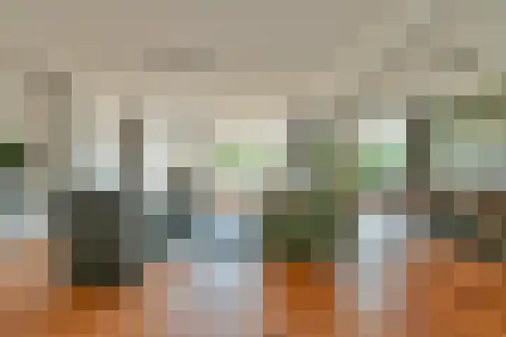 Duinbeek 45 Hoofddorp thumbnail 14