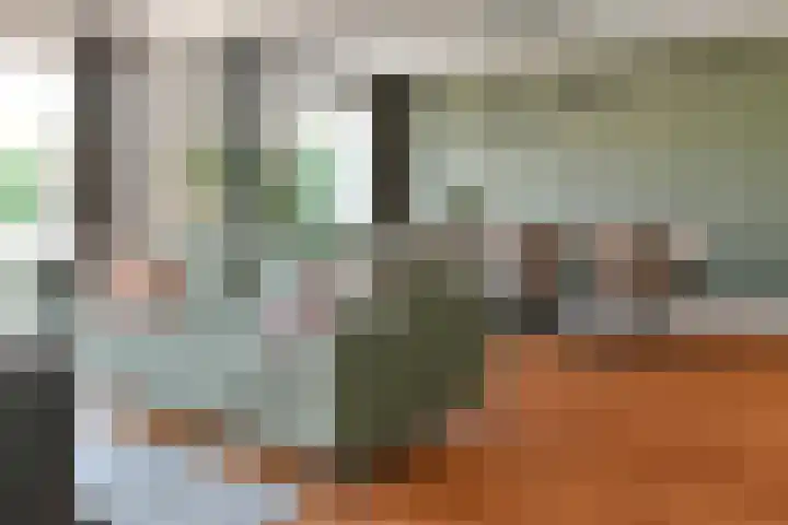 Duinbeek 45 Hoofddorp thumbnail 15