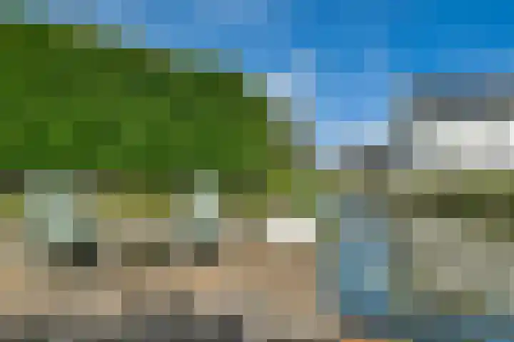 Duinbeek 45 Hoofddorp thumbnail 27