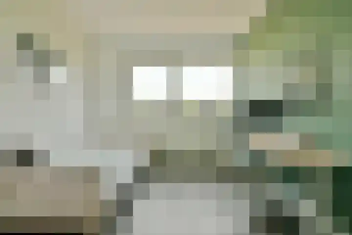 Duinbeek 45 Hoofddorp thumbnail 32