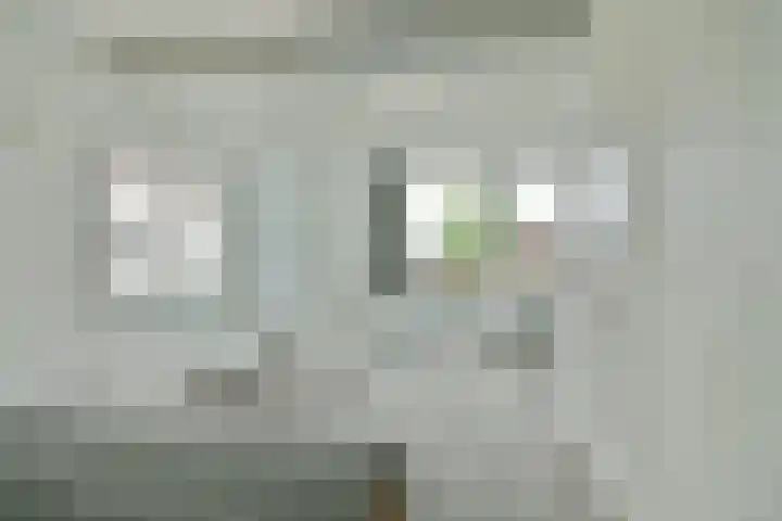 Duinbeek 45 Hoofddorp thumbnail 38