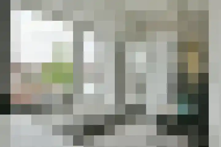 Duinbeek 45 Hoofddorp thumbnail 40