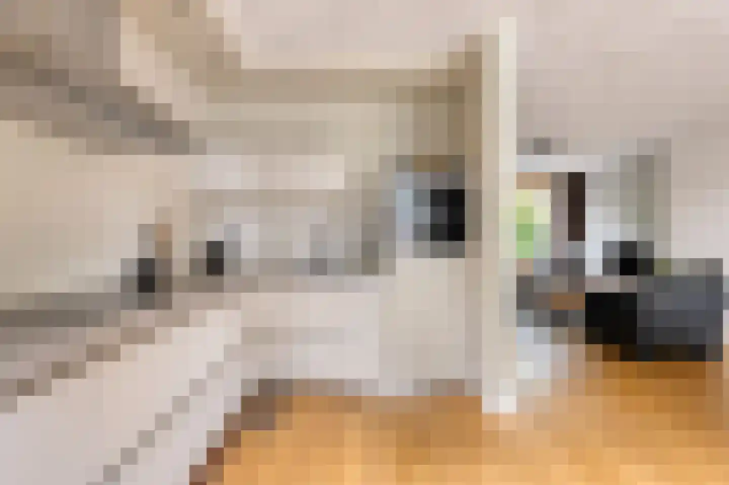 Duinbeek 48 Eindhoven thumbnail 23