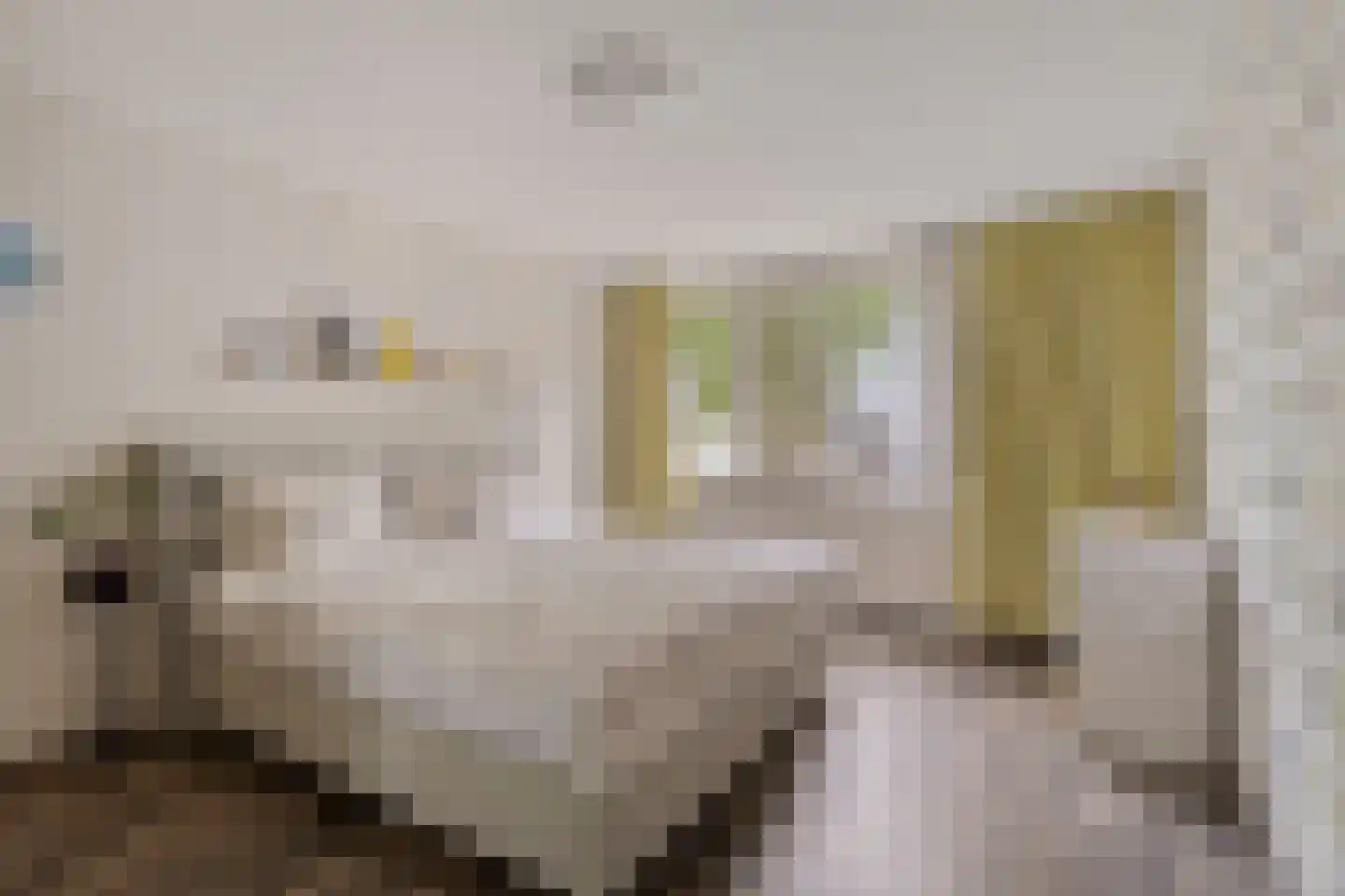 Duinbeek 48 Eindhoven thumbnail 32