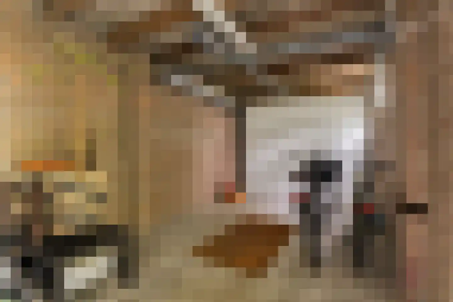 Duinbeek 48 Eindhoven thumbnail 47