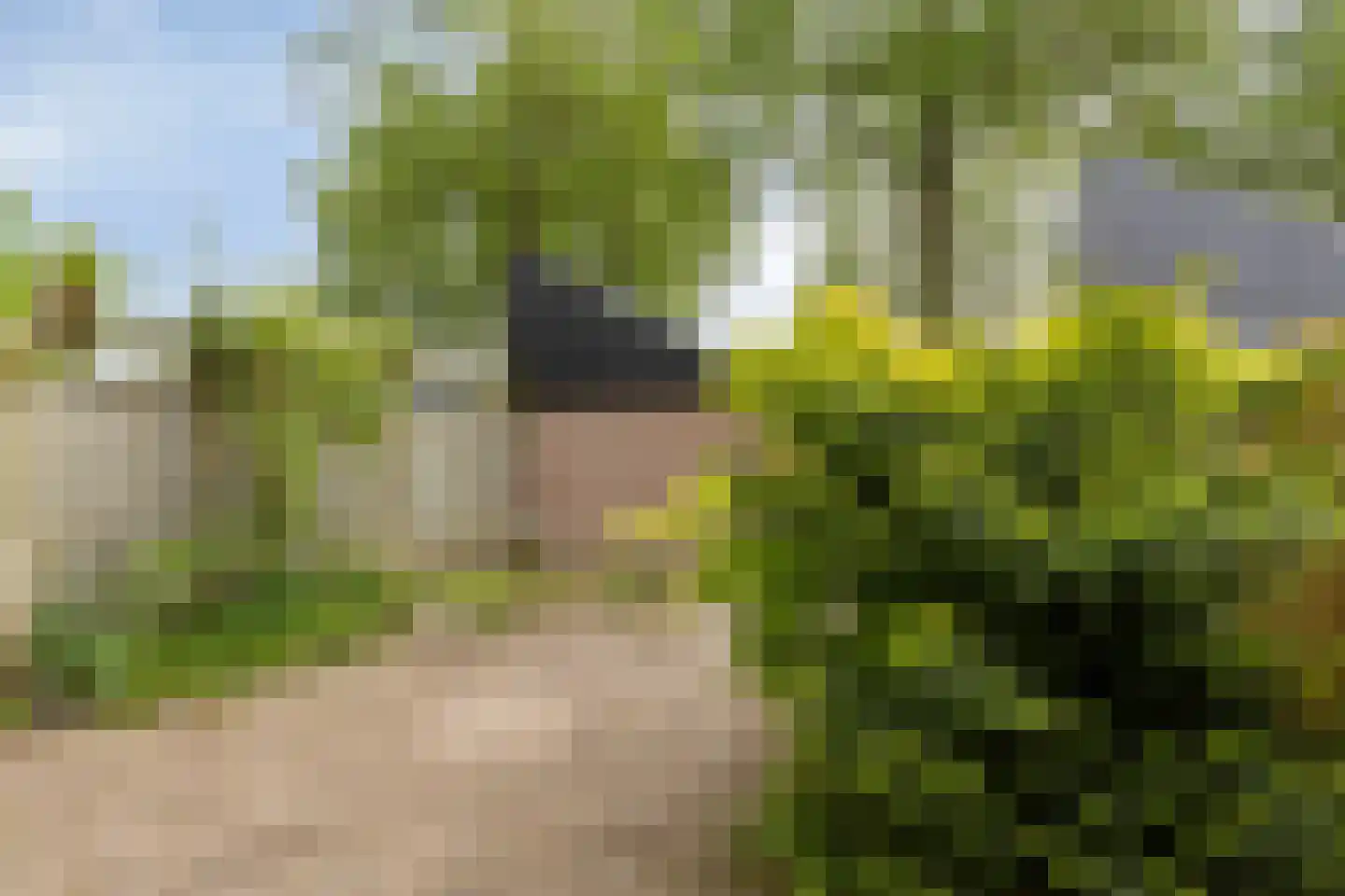 Duinbeek 48 Eindhoven thumbnail 53