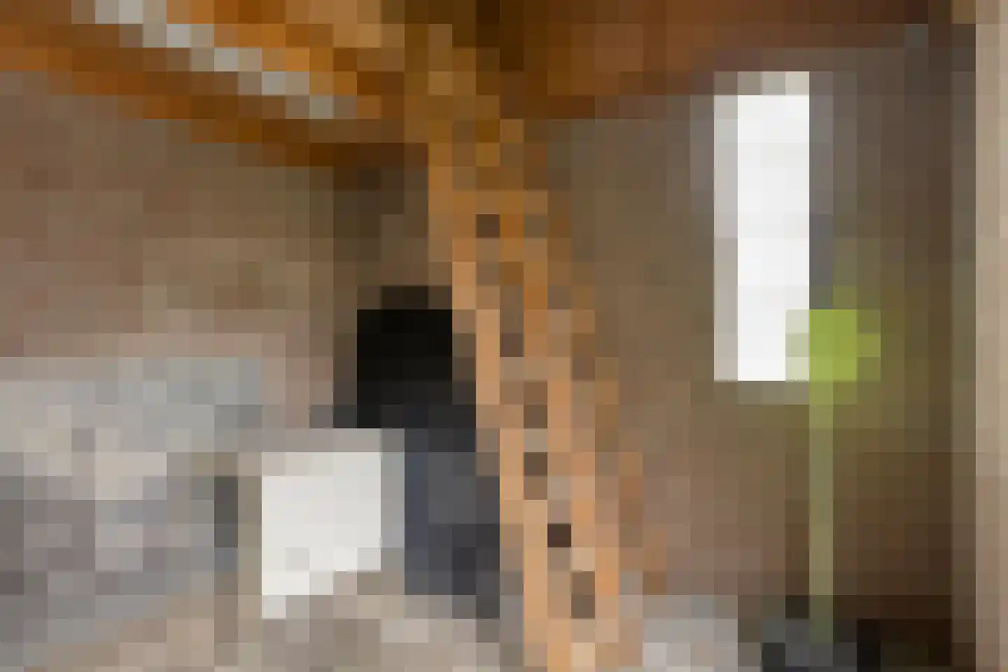 Duinbeek 48 Eindhoven thumbnail 55