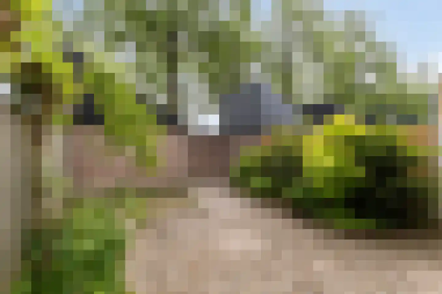 Duinbeek 48 Eindhoven thumbnail 6