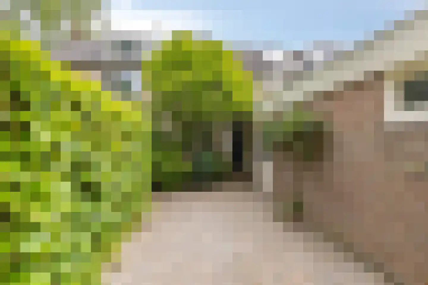 Duinbeek 48 Eindhoven thumbnail 7