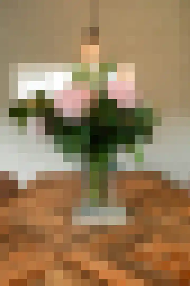 Duinbeek 5 Eindhoven thumbnail 21