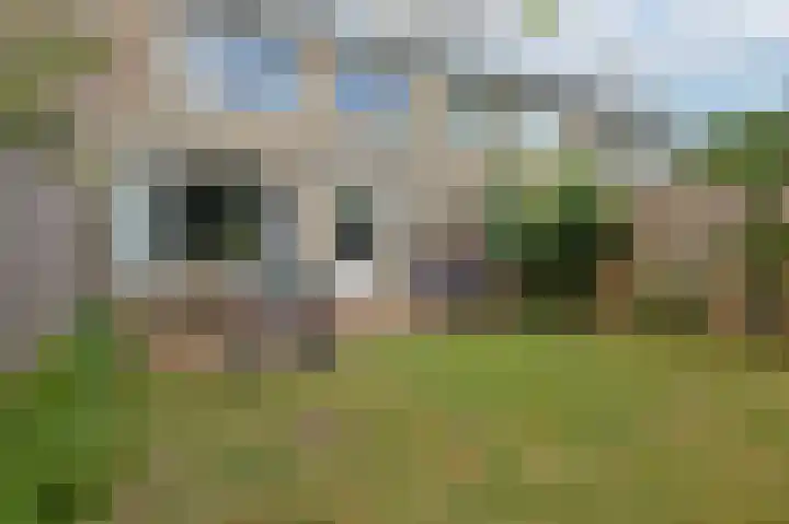 Duinbeek 5 Eindhoven thumbnail 24