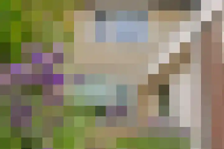 Duinbeek 5 Eindhoven thumbnail 4
