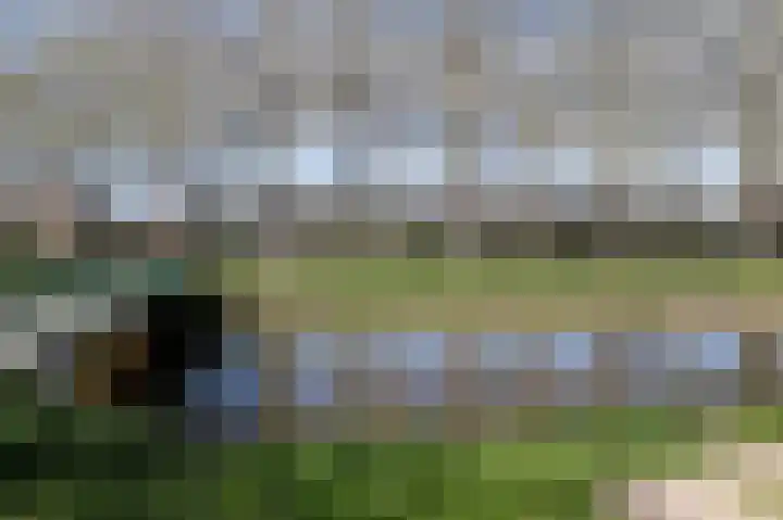 Duinbeek 5 Eindhoven thumbnail 50